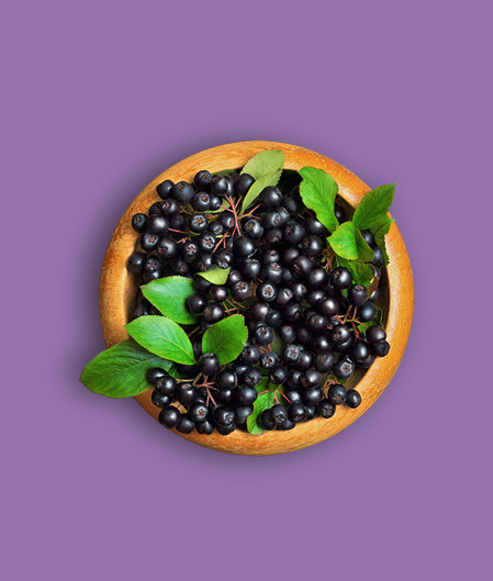 ׯ����Ϸ��(�й���)���޹�˾����