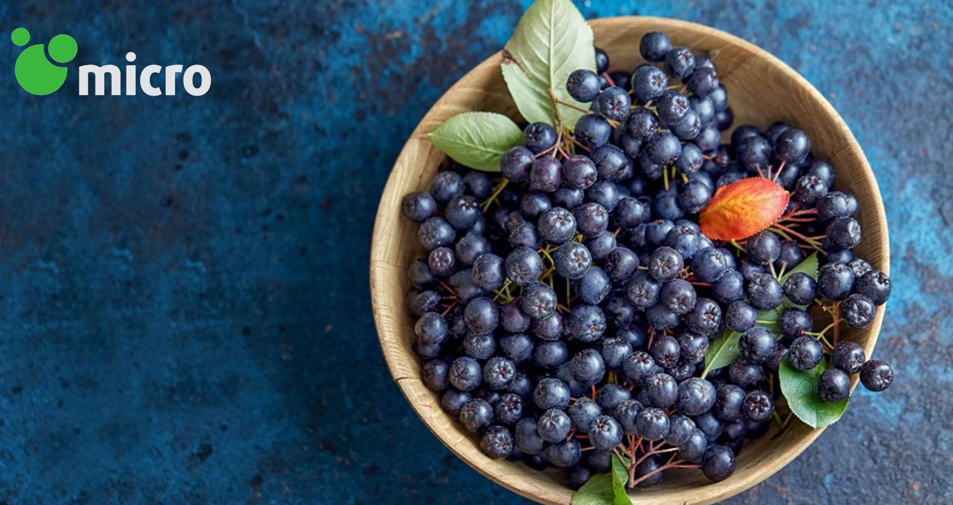 ׯ����Ϸ��(�й���)���޹�˾����