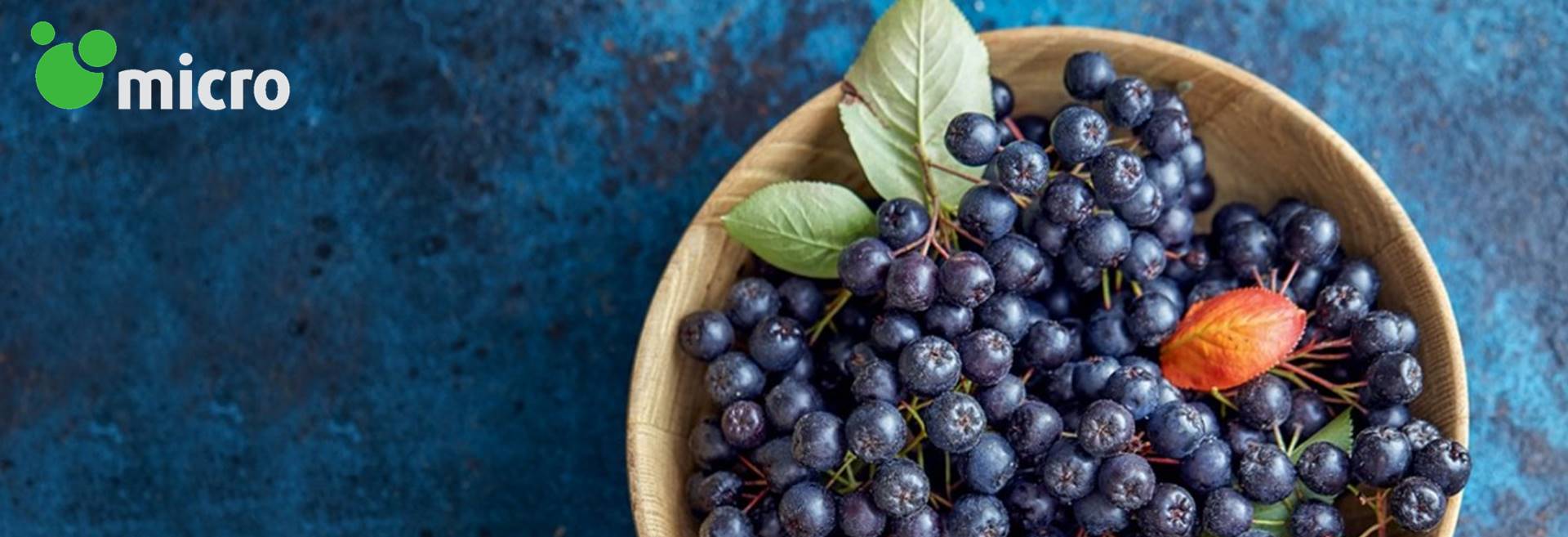 ׯ����Ϸ��(�й���)���޹�˾����