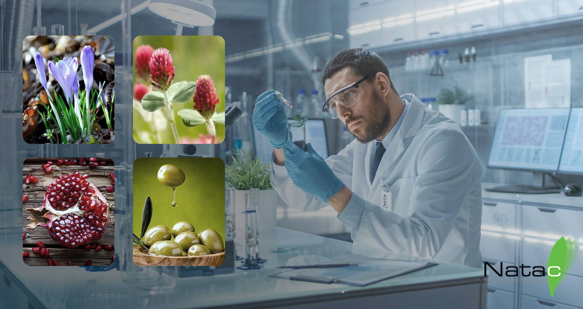 ׯ����Ϸ��(�й���)���޹�˾����