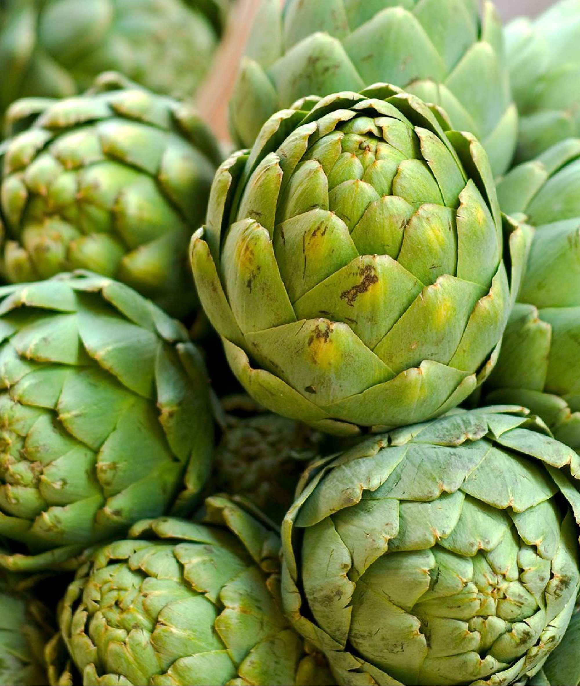 ׯ����Ϸ��(�й���)���޹�˾����