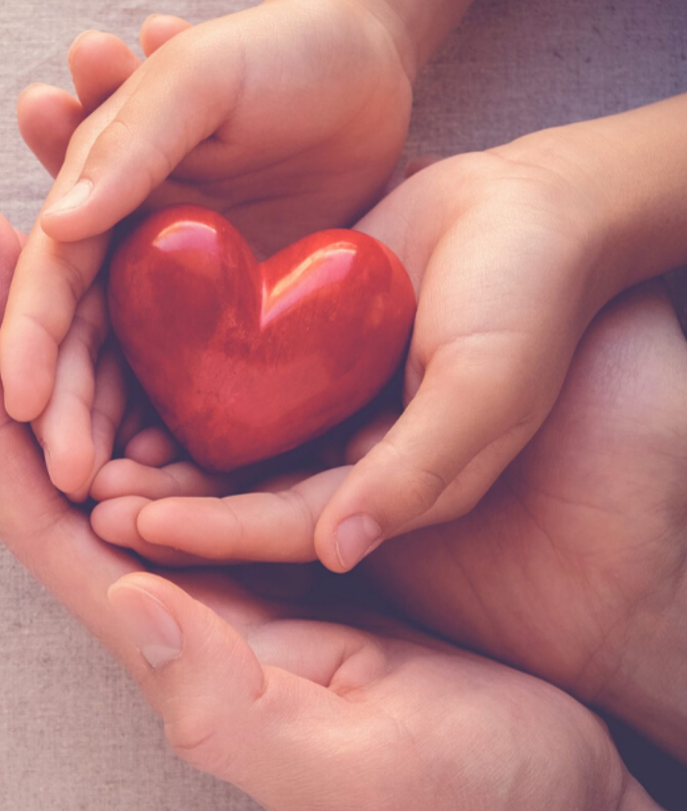 ׯ����Ϸ��(�й���)���޹�˾����